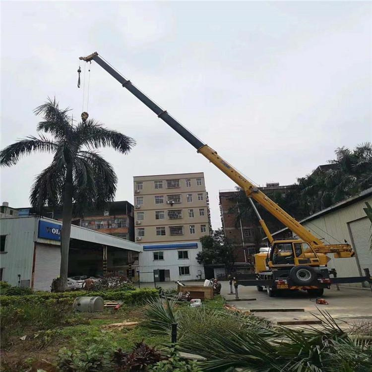 电白树木移栽装卸